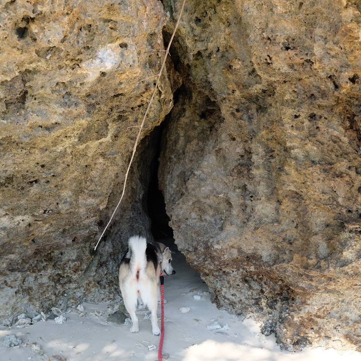 41007299 2d78 4551 bd7a 7c0921048a49 1584088628409