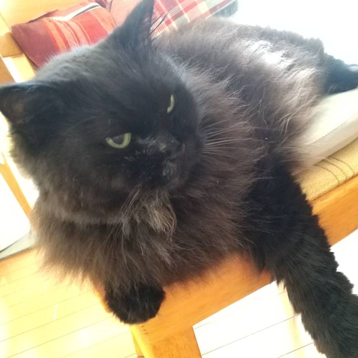 410106cb 7758 4a54 9a3a 10cc49a88613 1691226955611