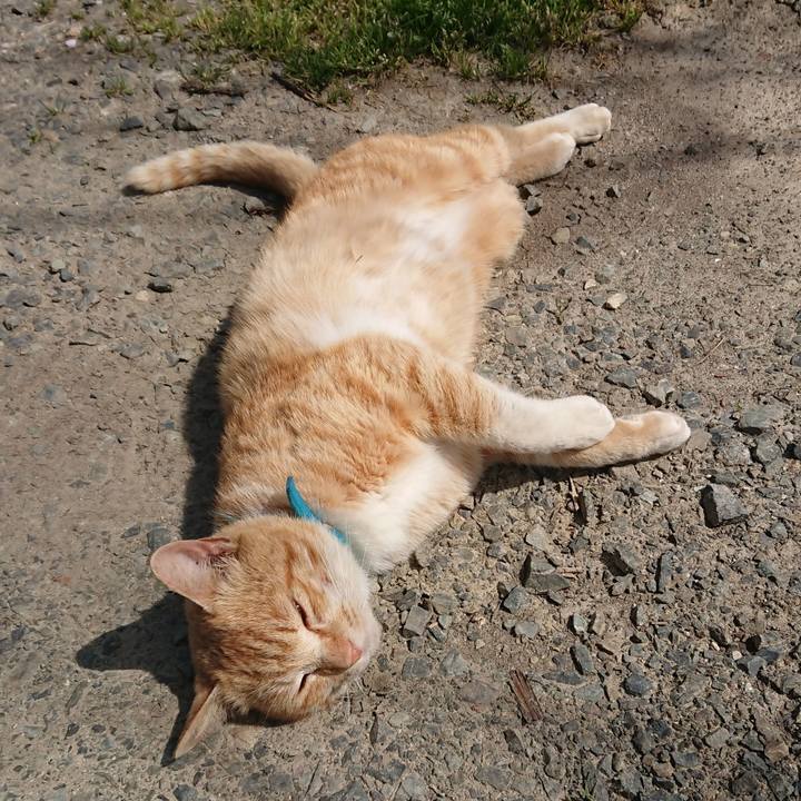 41012556 a281 48b6 86e1 1f32cc91f56d 1556514791752