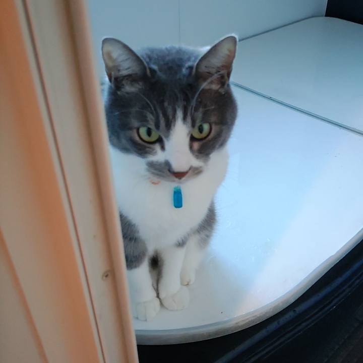 41012d58 2d88 4dcc aa2a 8d5371faf886 1710973453018