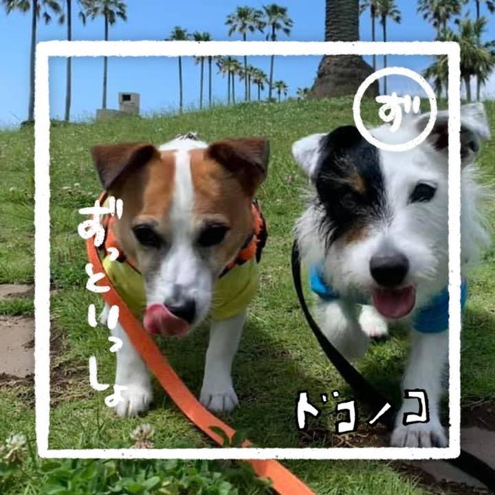 41016940 7d5c 4f0d a037 a8d91ee39593 1685974110078