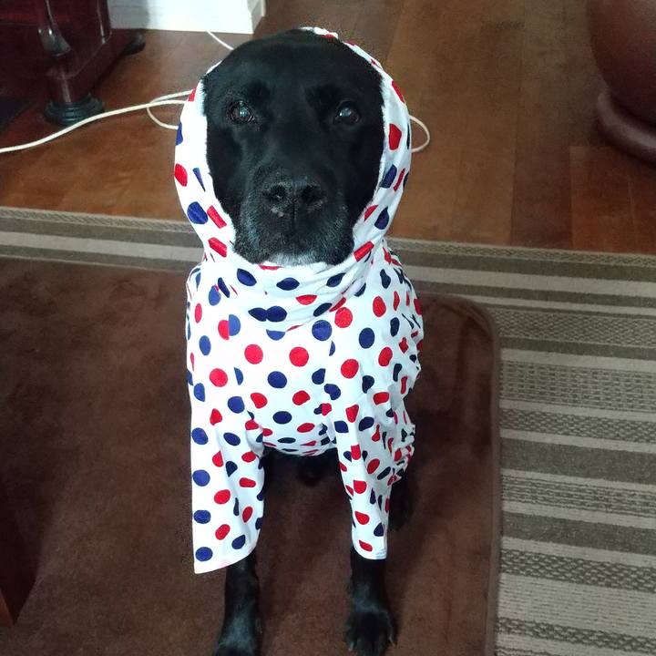 4101761b 6993 49b5 9f2b a25c34d5d411 1691806275741