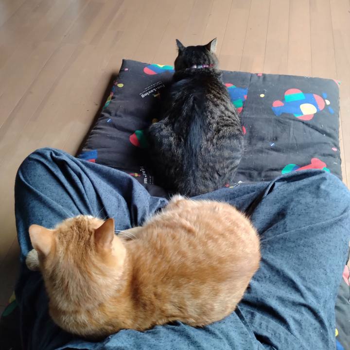 41018893 b156 44dd b039 b889b0706fa7 1663882823541