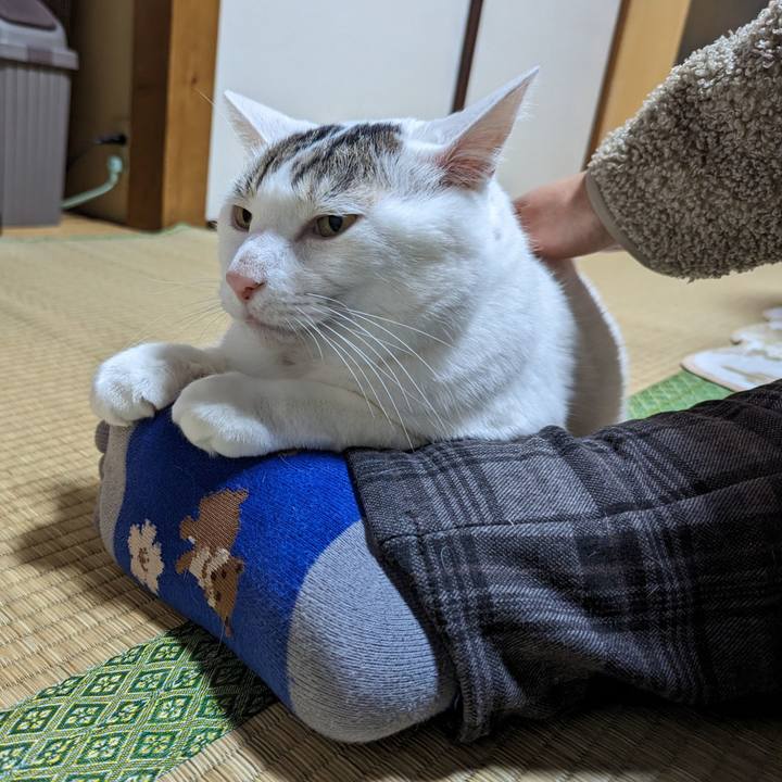 4101c582 44c7 457e acc9 94a1001a4903 1674639364282