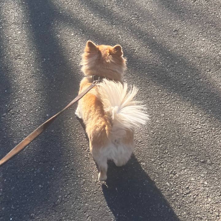 4101f869 5a0e 4c84 8862 a48e69a7dd66 1773229111934