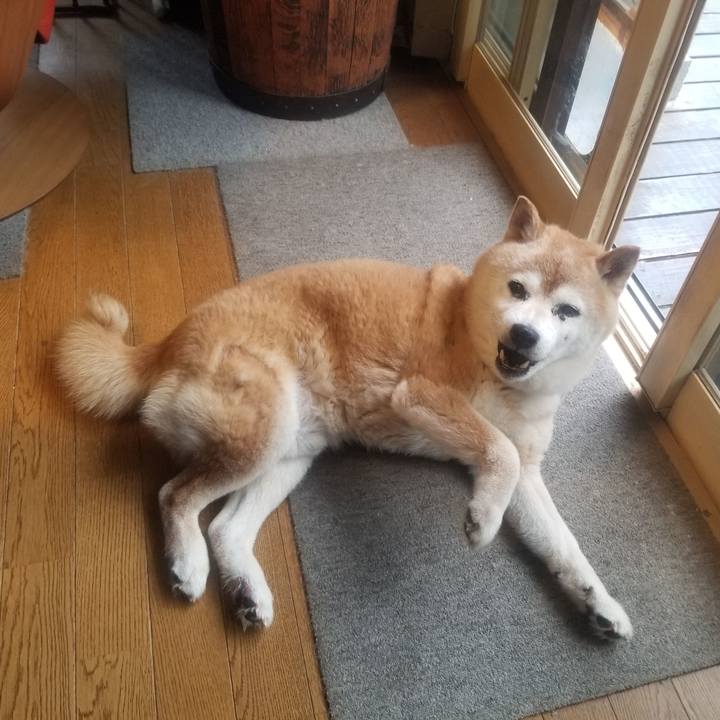 41022120 64eb 4d3f aa9f 7399bfa2442a 1749857258258