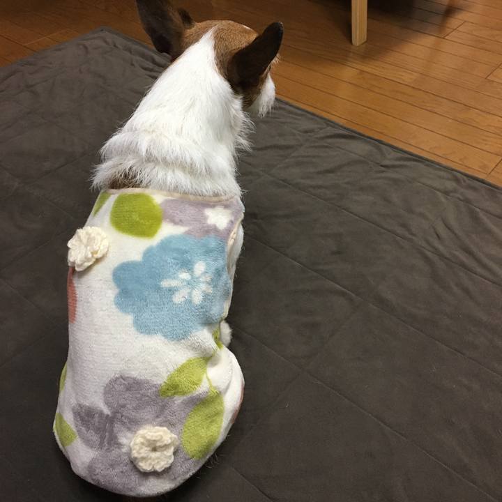 41023c24 e8a0 48d8 b428 268aeeecb324 1610238432529