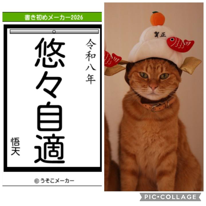 41024e9b 175d 48ae a392 b81d15b3c9c6 1767945757950