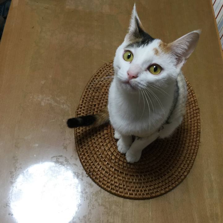 41028950 5bea 4775 aed9 e9c1c2c69437 1547624741767