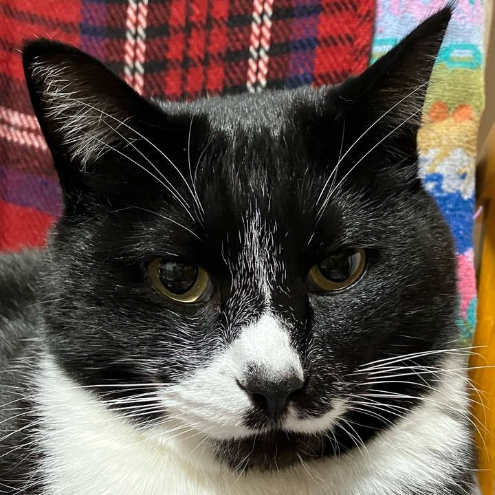 41029a0a 86e1 4bd0 915b e566a26ee3e8 1745108265060