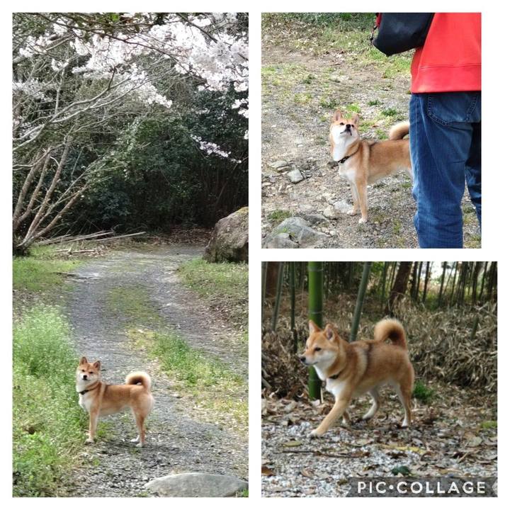 4102e20b 9651 4006 8b9a 54f83e8915f7 1648870115677