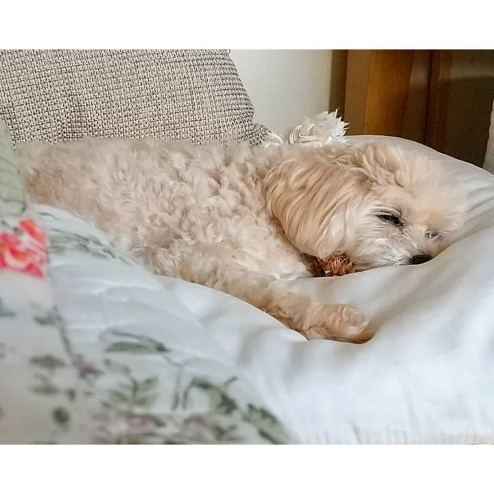 4102eb99 0272 4404 a297 cb36f38931e6 1629371139925