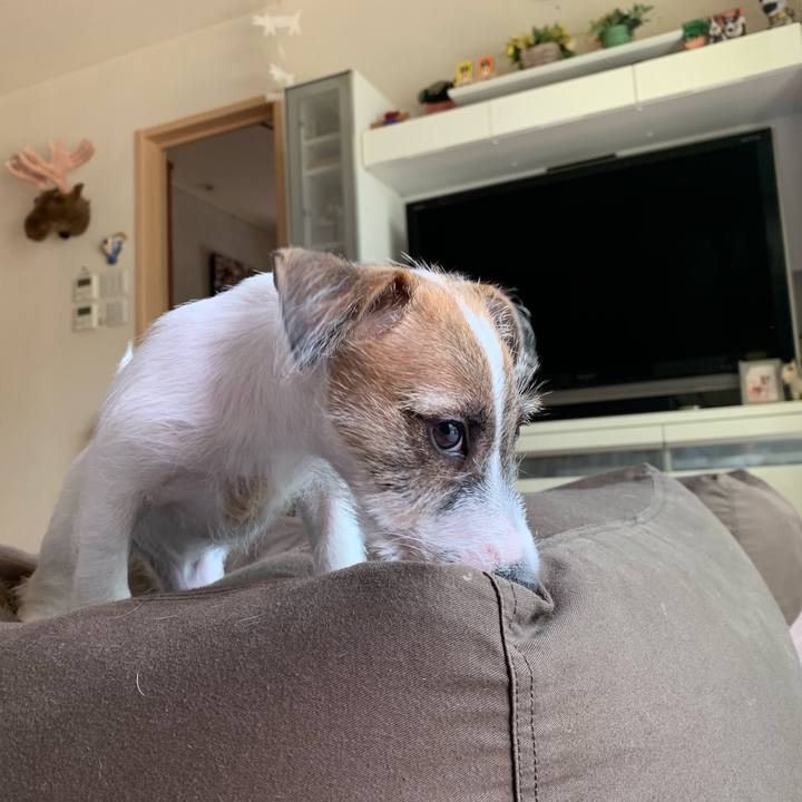 410321fc d3fd 4031 8134 fa44484a029b 1560907164772