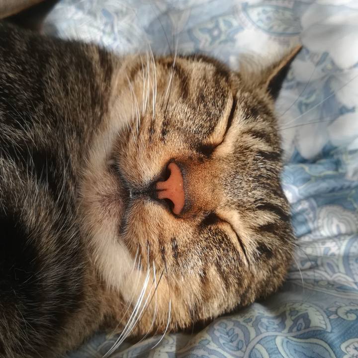 41035a33 16e6 45ac afea b5718505a81a 1602995307667