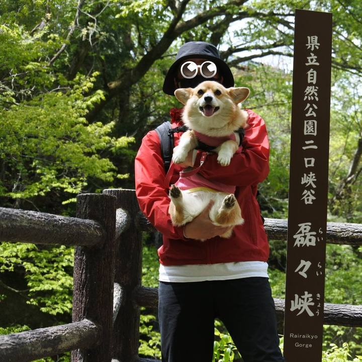 4103836e f173 4218 bb93 6d17fffec6b0 1620124823488