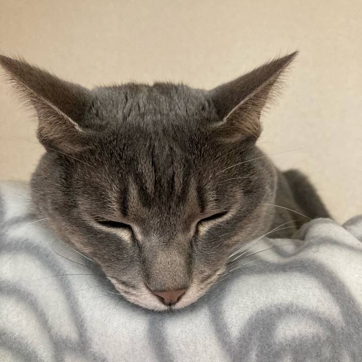 4103a198 0a2a 4bd5 862b f4ea3296cfaf 1609287646991