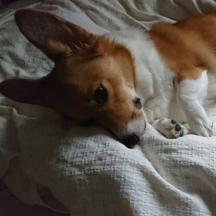 4103c520 f5de 4d03 9102 d1b13dddbeeb 1508373584876