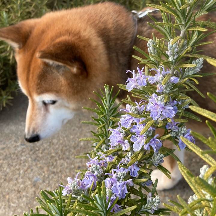 410410f3 5629 4b6d 989c 1b12759270c4 1646810873711