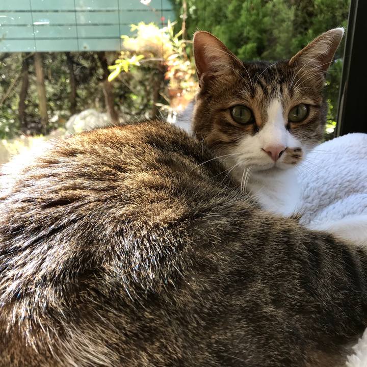 410440bd e670 4ac1 b5ff 4618a186a7a5 1511333792172