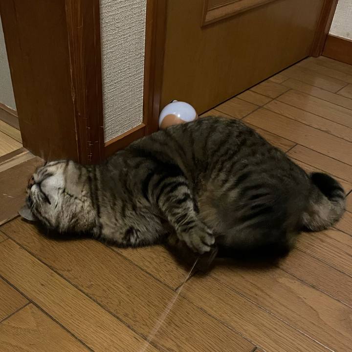 41044746 f249 426d 9933 2396f9e02c23 1609243725924