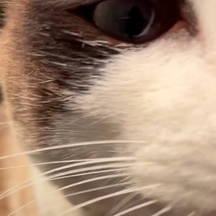 41045c8f a2dd 4e95 aa1c 33a4d28dd2e5 1745636785422