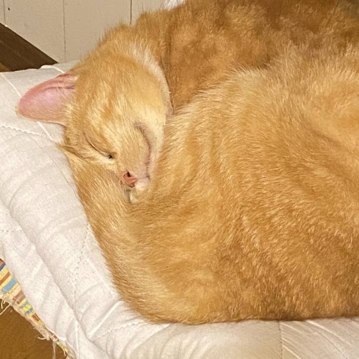 41048173 dc3f 4805 9182 ed4cccb5afe3 1619656409082