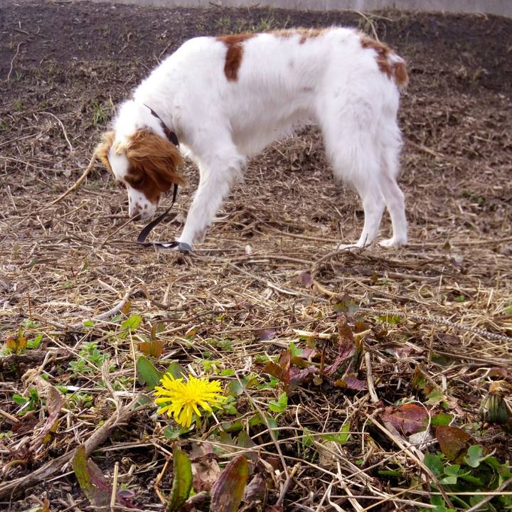 4104c956 85bd 4c52 9be0 f49e0e0c979d 1516262738042