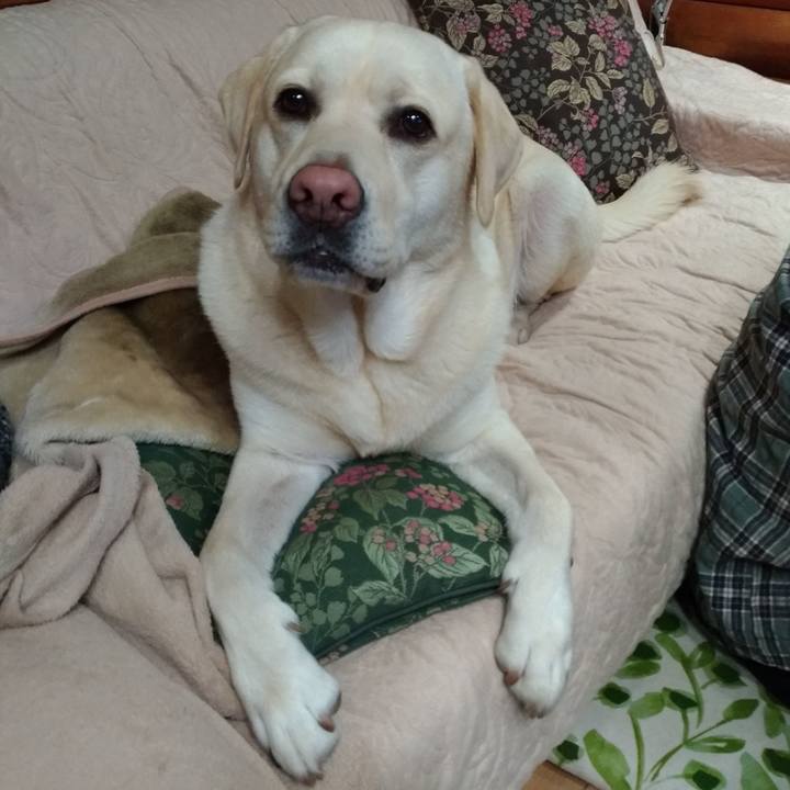 4104d90c e2dd 4dcb 86c1 7c5e00f3338a 1574497624688