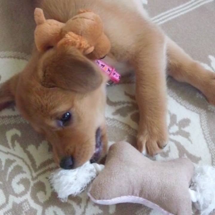 4104d962 841d 4335 b16a 9728dfc0ece9 1510318986280