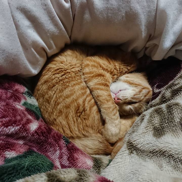 410519e1 d1b6 4549 8f74 34ba46018df6 1646397268681