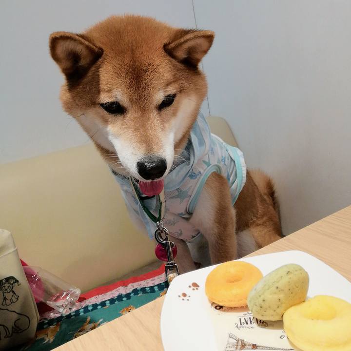 41054de9 8797 4e5c a77c 69c9491a1a90 1626085126346