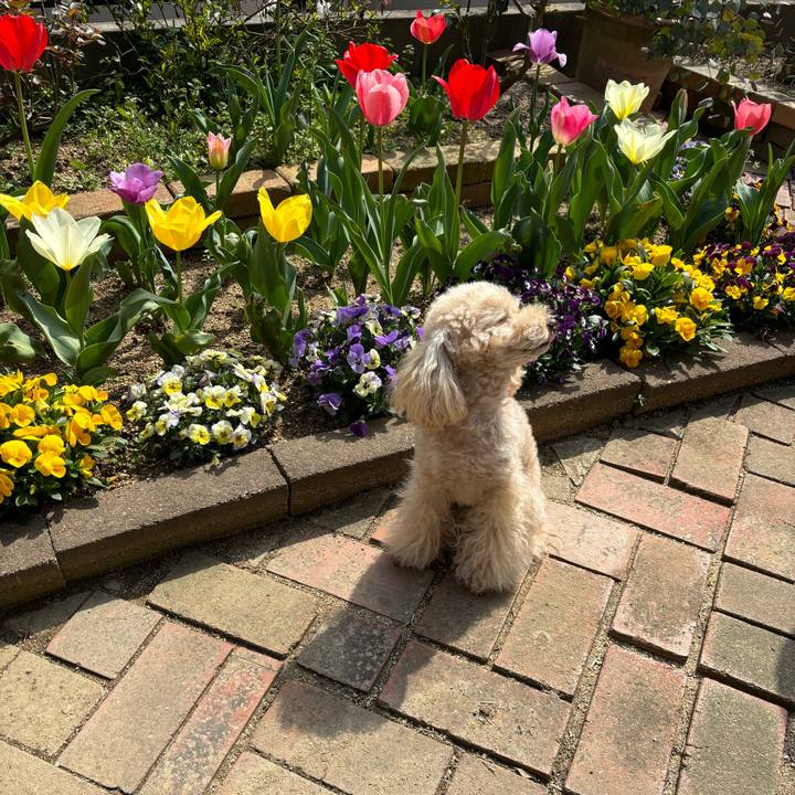 41057307 0df0 436d b44e 6c1e70b894e1 1711872778862