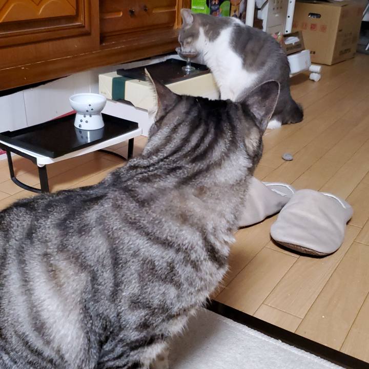 4105fc86 04cb 49d7 88da 1c0c715aaa34 1713235715097