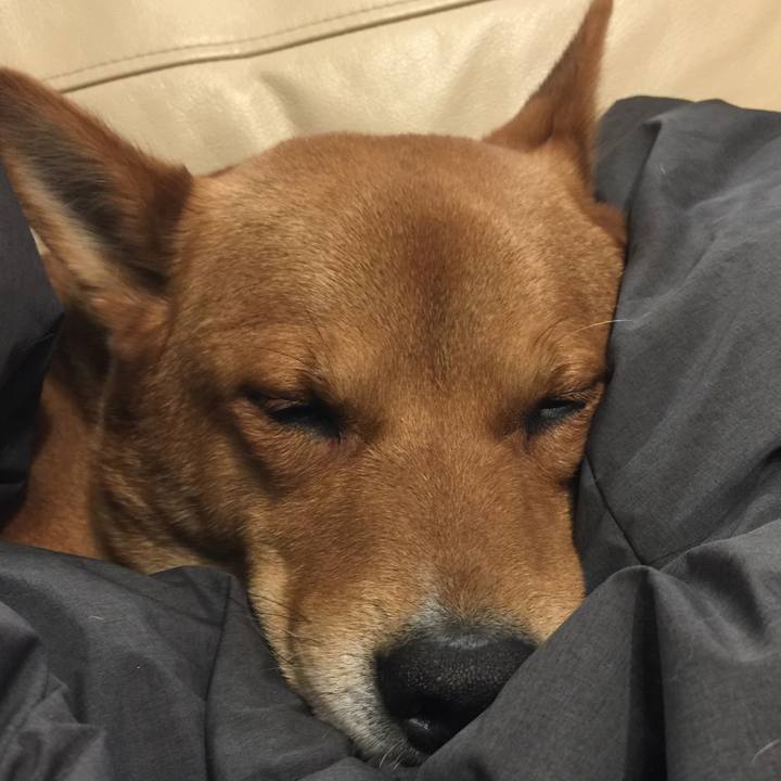 41060839 6493 4f5d 94da eb1f5ceb80b8 1548518968722