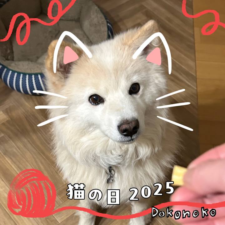 41062453 d40e 4382 8a4c a947a317db42 1740196471827