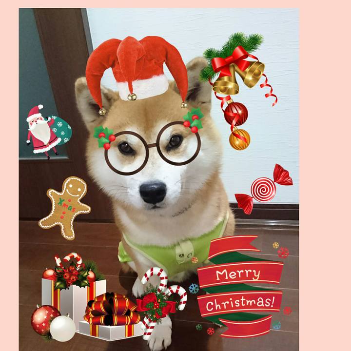 41064069 d9ce 47d2 ab43 383b25d5d8a2 1513358516909