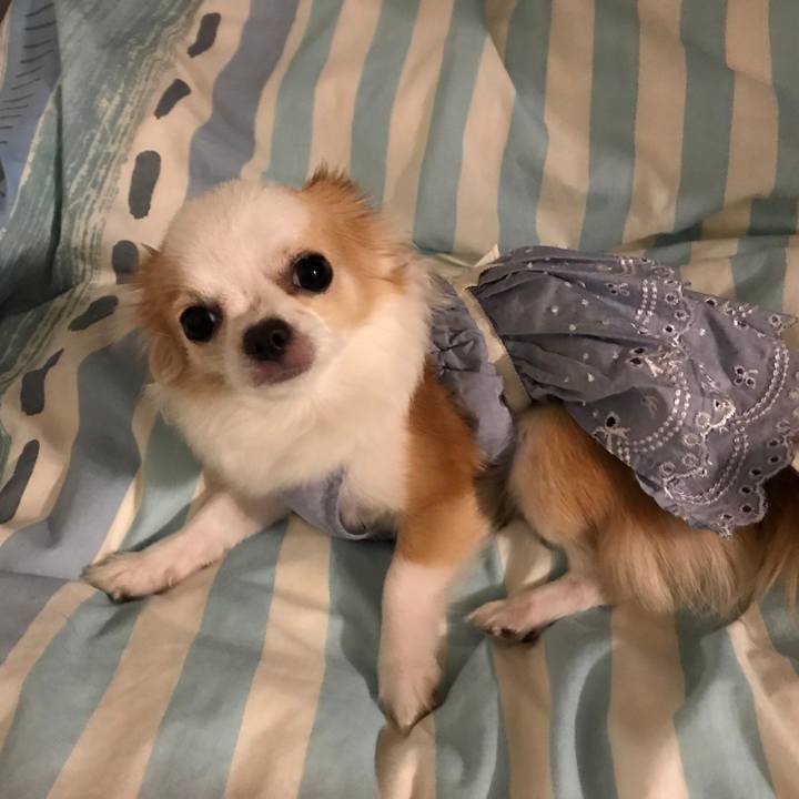 410671d5 7a6b 4afa 9141 8af10f7118b1 1604753535863