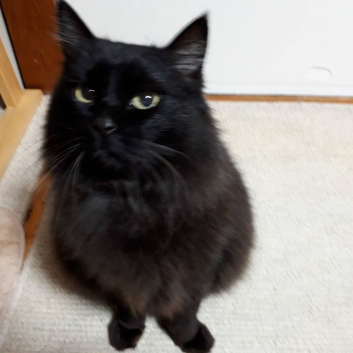 410673f0 8579 4306 afaf 470963d71e3a 1520534712309