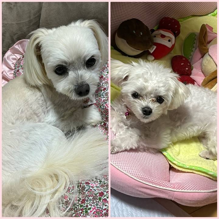 41067a7e e8e2 43ed 87c9 c0b10bb7cb67 1719226576759