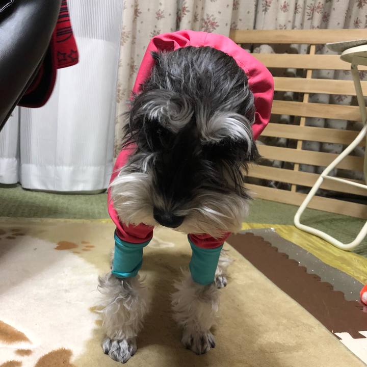 41067d4f 7416 4db0 bcbe 9b46382b58ec 1514714773939