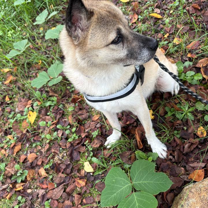 41068507 ef3e 4900 8476 5a4354e3f02b 1757760617770