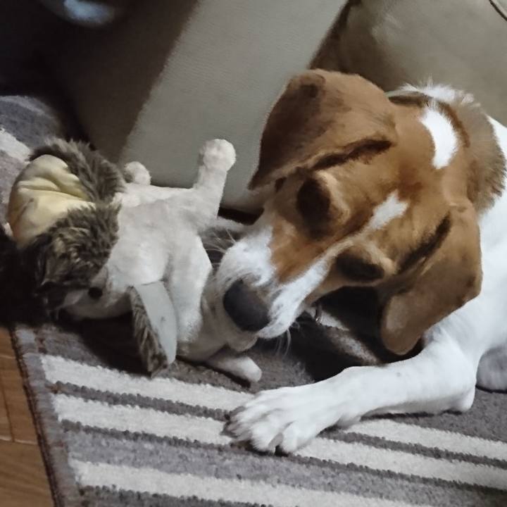 4106b53e 2455 4232 860a d0b9ef268bd9 1572352148831