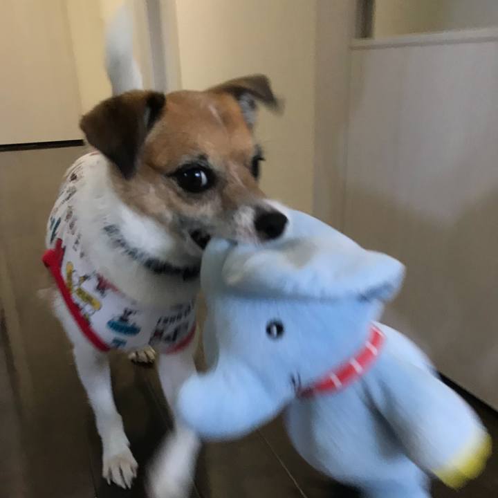 4106d808 913b 43ba 9657 0574dae7ce09 1534586410767