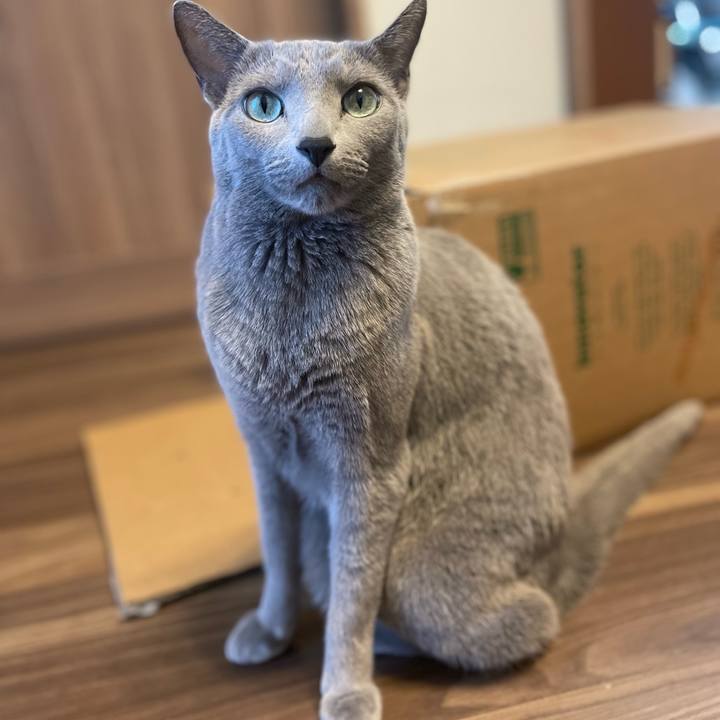 4106f8bf 275b 4160 a1c2 033c3b2f3d2f 1741558111340