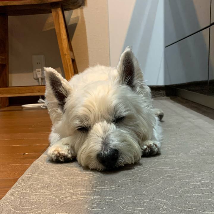 41071812 33d0 493f a85c db17d60937b5 1593786792369