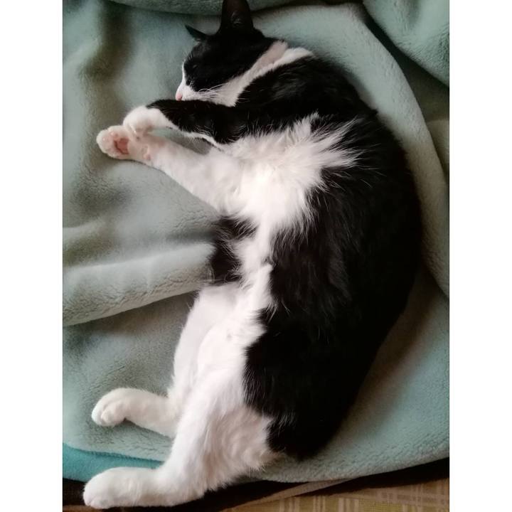 41075eeb eadb 4c40 aaf8 63a8b2c8db13 1556952148580