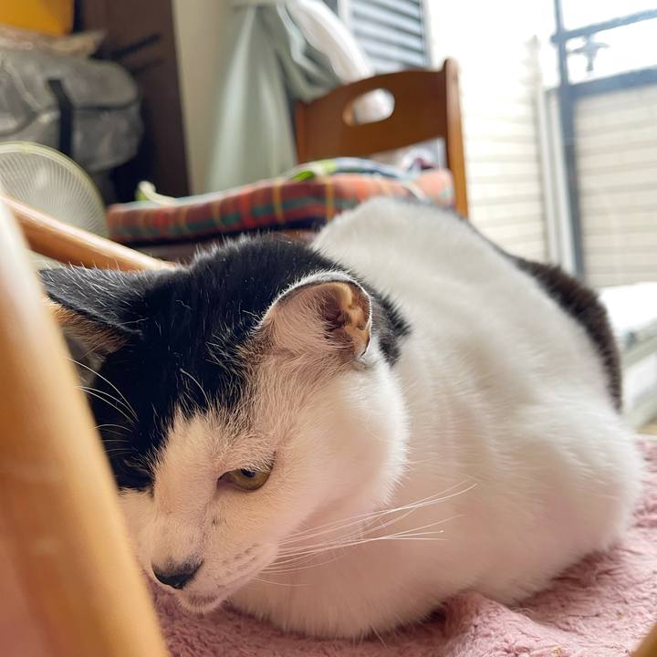 4107ca87 099a 4bf2 b97b 4b596c66be15 1770522803894