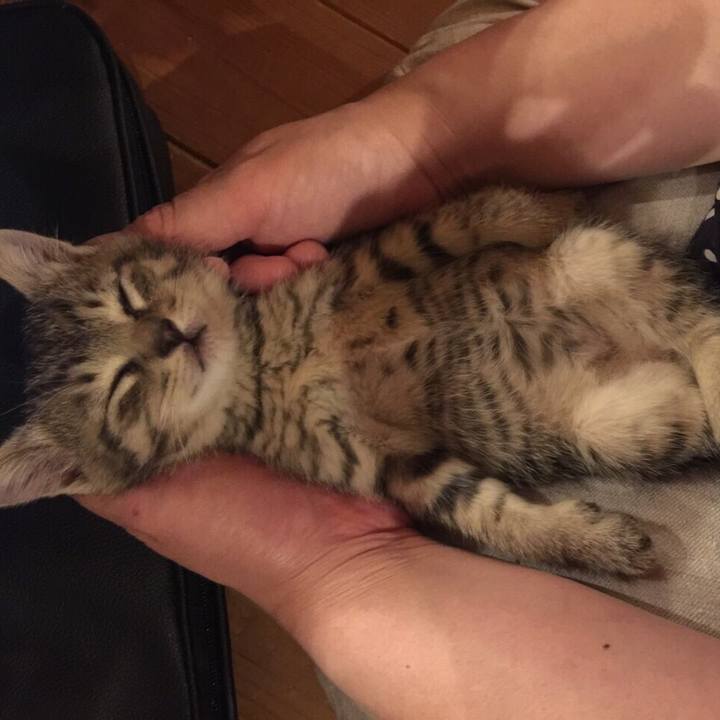 4107d4e7 fb13 4060 bfb1 292300bc02ad 1573129282189