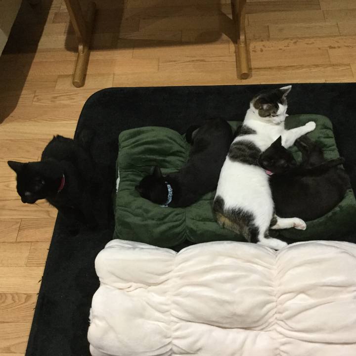 41080395 1757 42be 9a71 d8b55618af8b 1510234661033