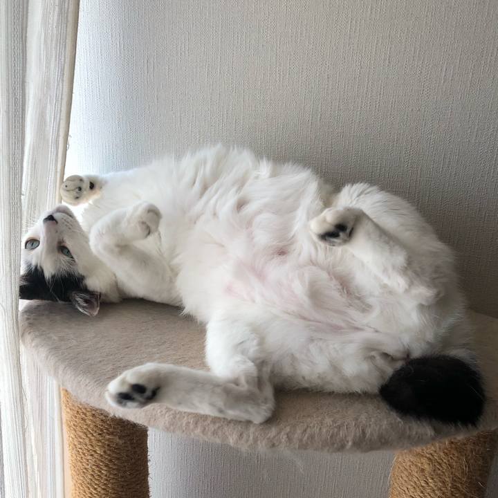 41081aa7 ff27 4ad2 998f 528bbc415710 1597124151668